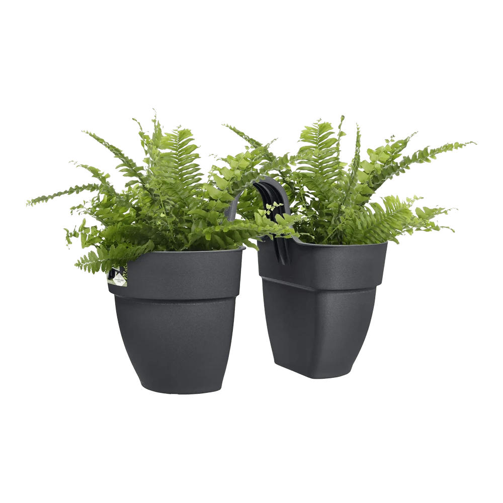 Elho Balkonbak Vibia Campana Twin 21cm - Antraciet - Afbeelding 3