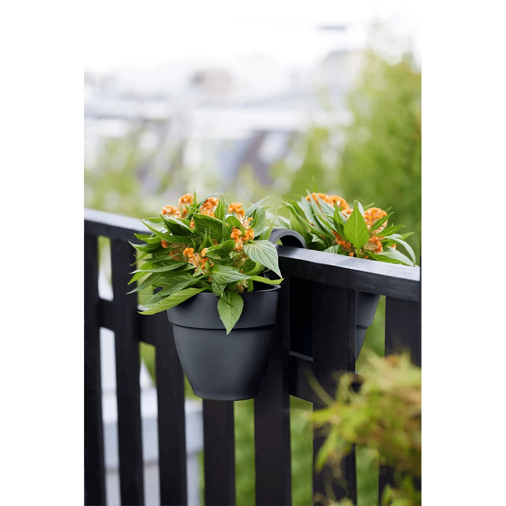 Elho Balkonbak Vibia Campana Twin 21cm - Antraciet - Afbeelding 5