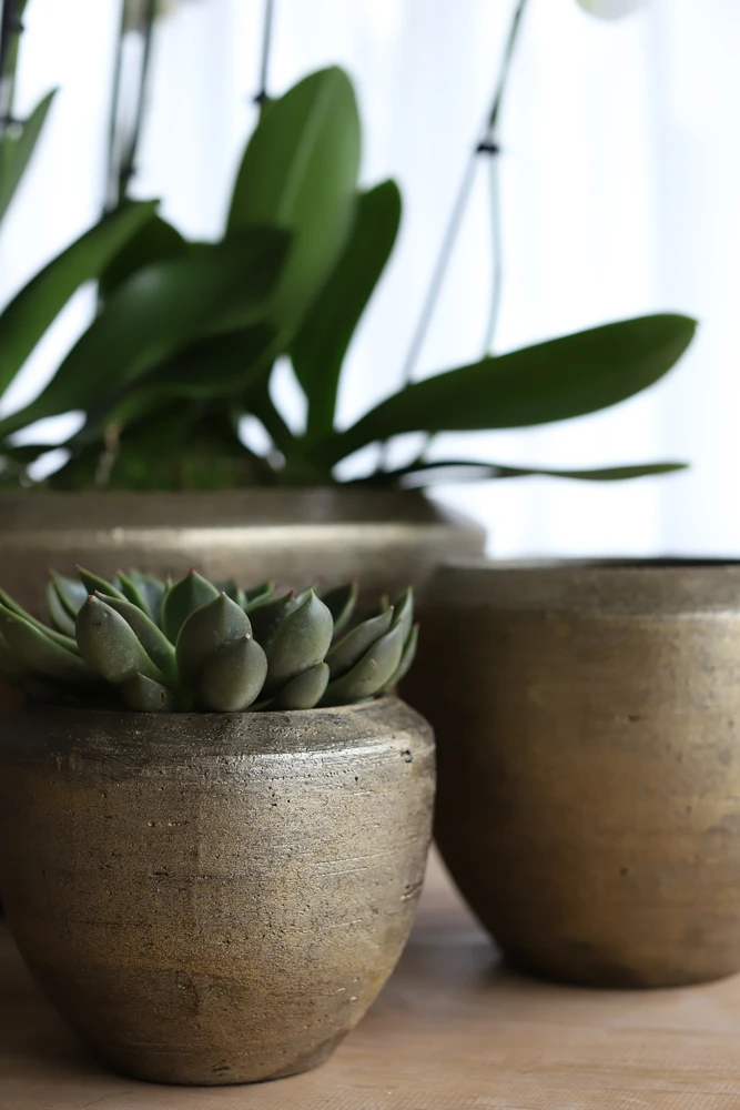 Bloempot Kos - D30 X H27cm - Goud - Afbeelding 2