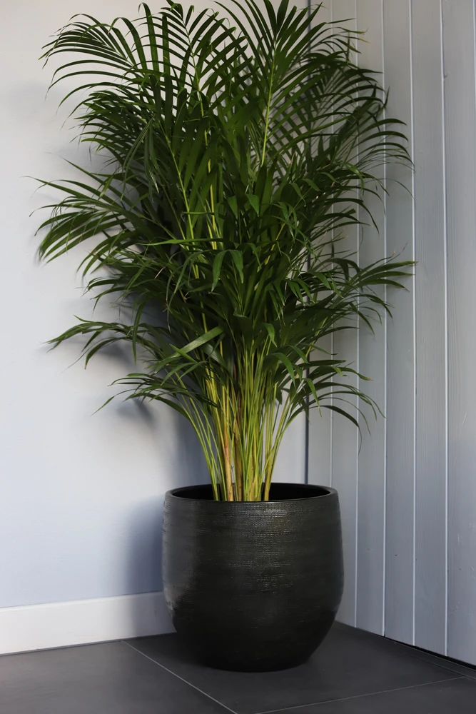 Bloempot Tokio - D32 X H30cm - Groen - Afbeelding 2