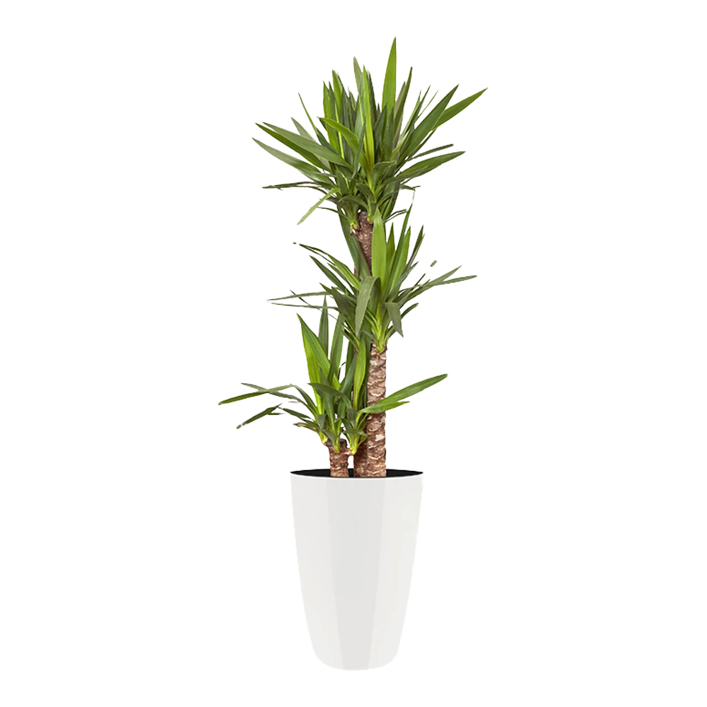 Bloempot Elho Brussels Diamond Rond Hoog 27cm - Wit - Afbeelding 3