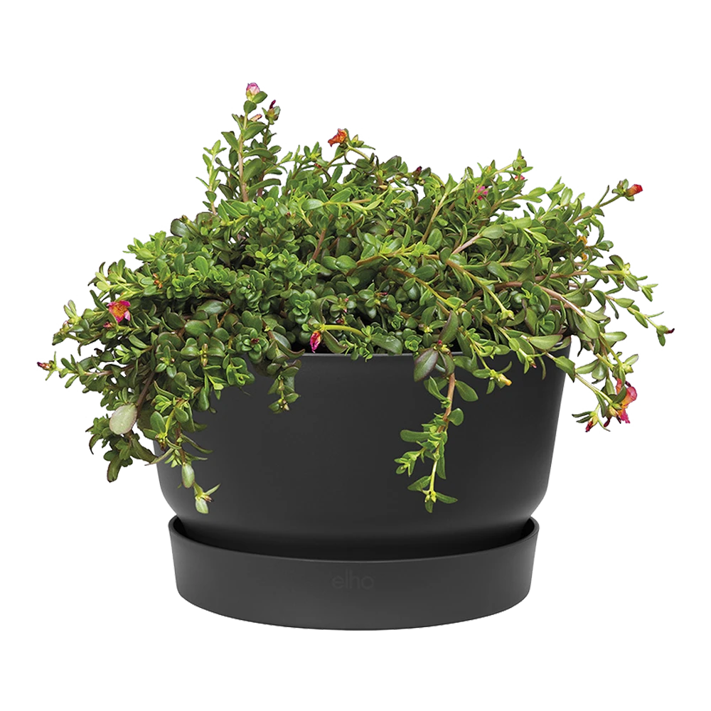 Plantenschaal Elho Greenville 33cm - Living Black - Afbeelding 2