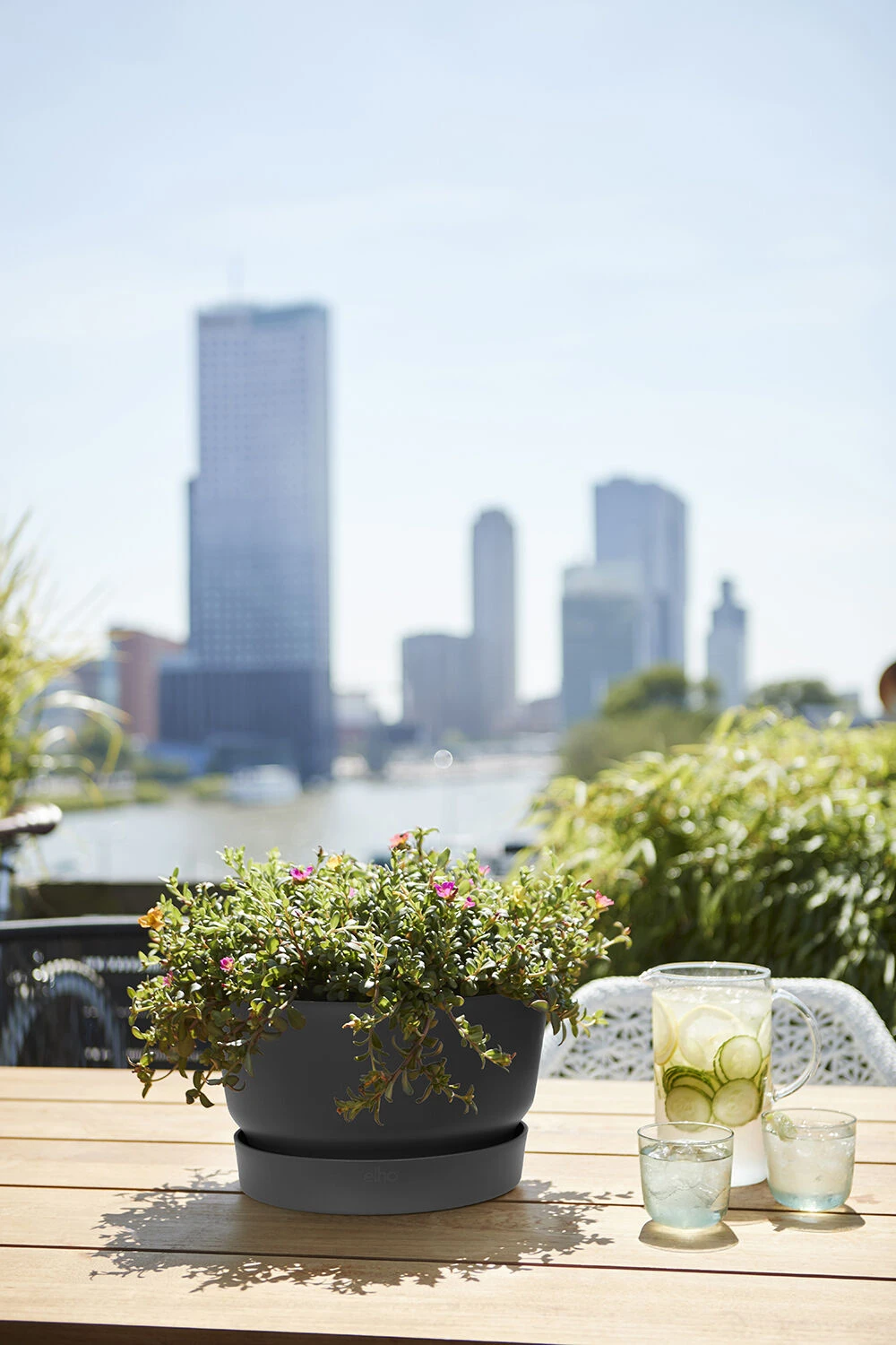 Plantenschaal Elho Greenville 33cm - Living Black - Afbeelding 3