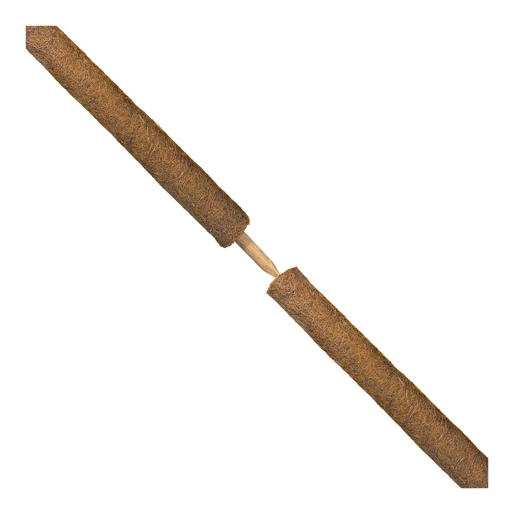 Nature - Kokosplantstok H120cm U00f860mm - Afbeelding 2