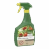 Pokon Bio Tegen Insecten Polysect GYO Spray 800ml - Insecten En Ongedierte