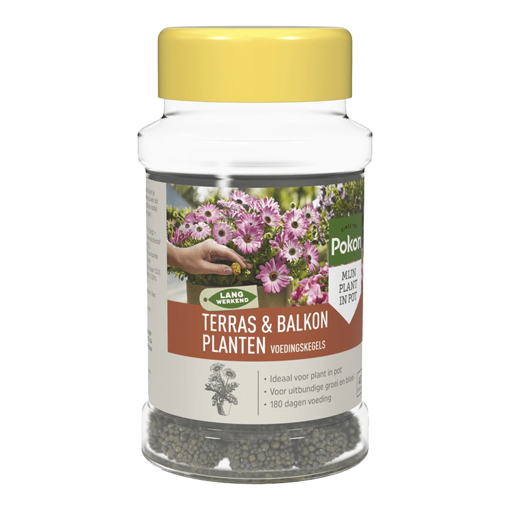 Pokon Terras & Balkon Planten Voedingskegels 40 Stuks - Tuinplanten Voeding