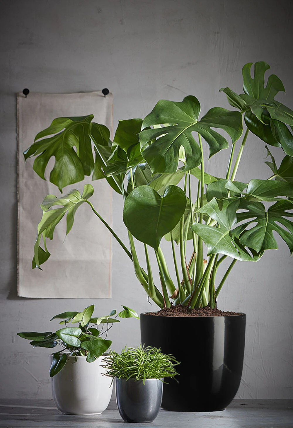 Bloempot Tusca - D39 X H34.5cm - Antraciet - Afbeelding 2